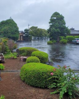 もの凄い雨に見舞われた東京のお盆です。

#筑波茎崎霊園 #お盆 #公園墓地 #つくば